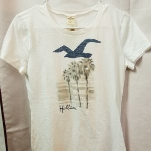 Hollister tee